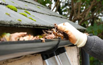 gutter cleaning Nant Y Caws, Shropshire