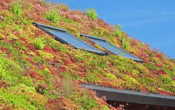 Nant Y Caws living roof systems