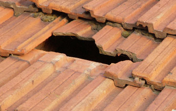 roof repair Nant Y Caws, Shropshire
